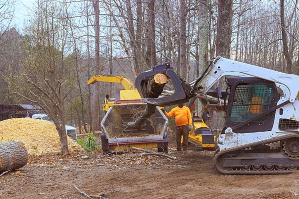 Residential property after professional tree removal with logs processed and the hazardous tree safely removed in Ballwin, MO.
