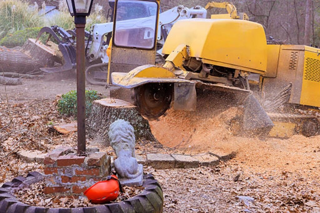 Professional stump grinding machine removing a large tree stump while clearing wood chips during a residential stump grinding project in Chesterfield, MO.