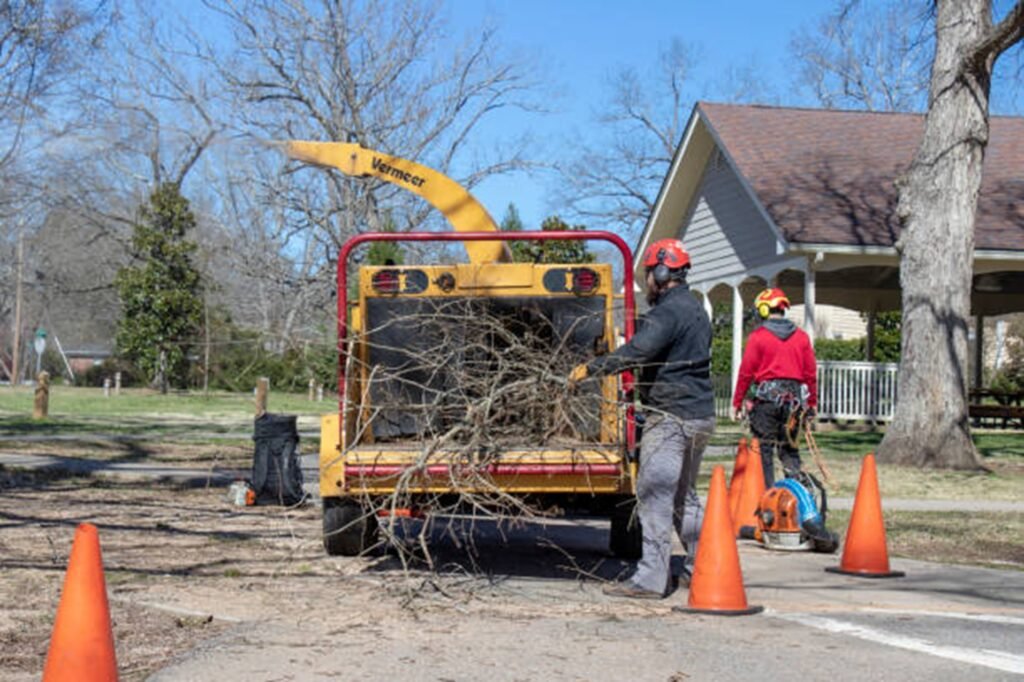 Ballwin Tree Service crew loading tree branches into a wood chipper after completing a residential tree service project in Ballwin, MO.