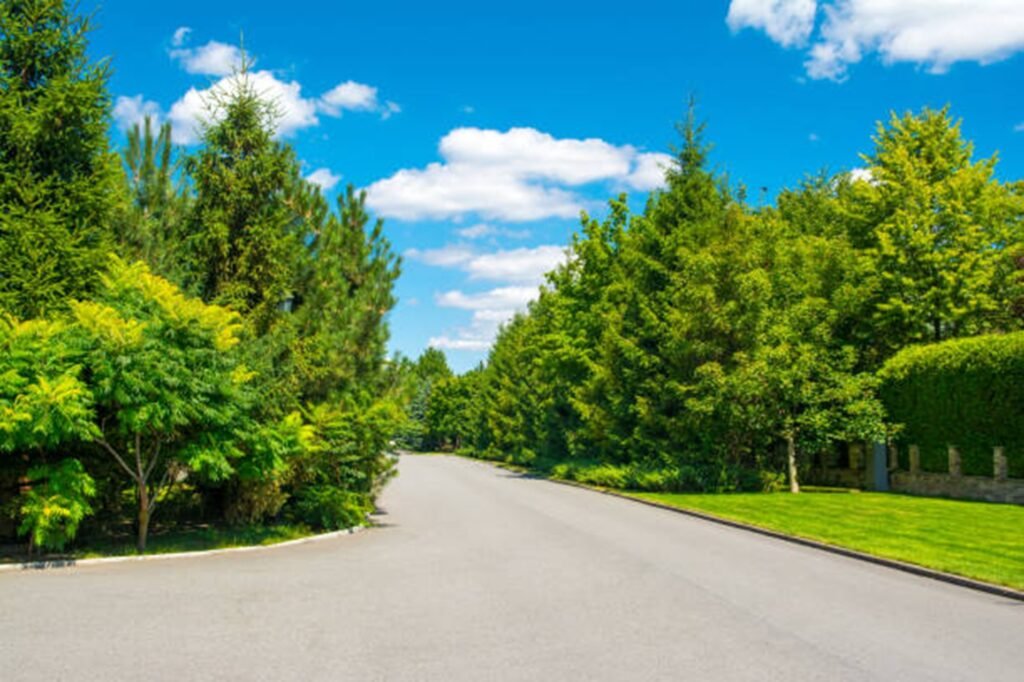 Beautiful tree-lined residential neighborhood representing the communities served by Ballwin Tree Service throughout Ballwin, MO.