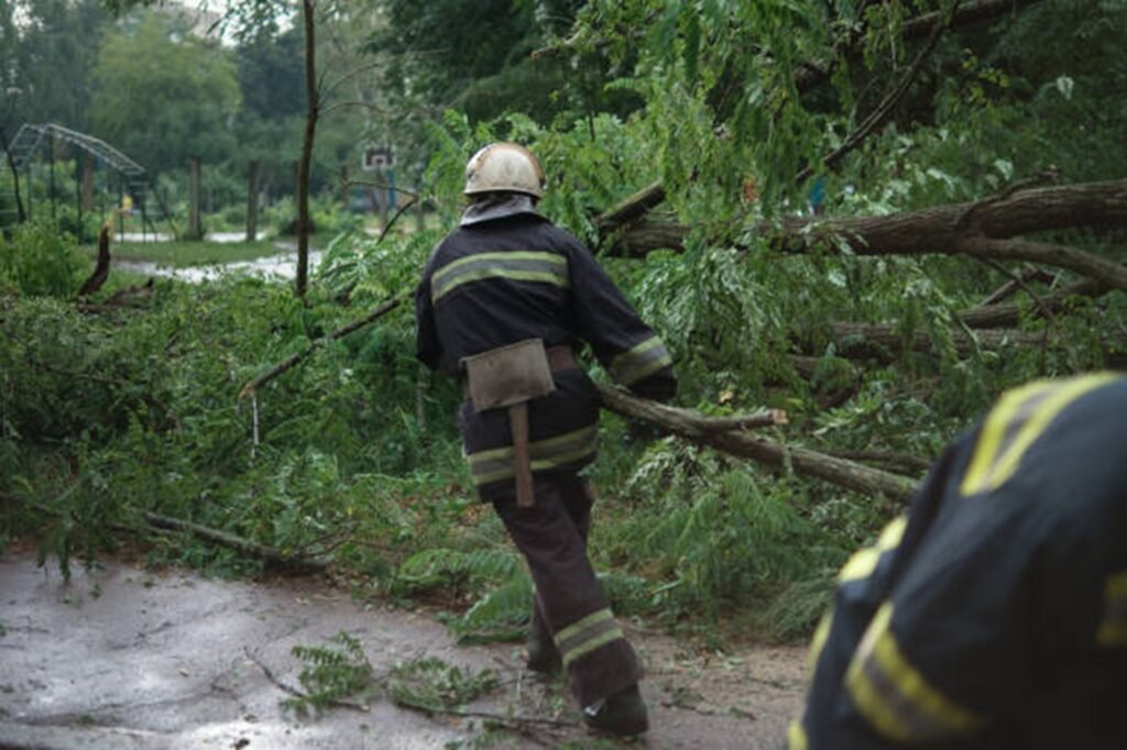 Professional crew clearing fallen trees and storm debris from a residential roadway during storm damage cleanup in Ballwin, MO.