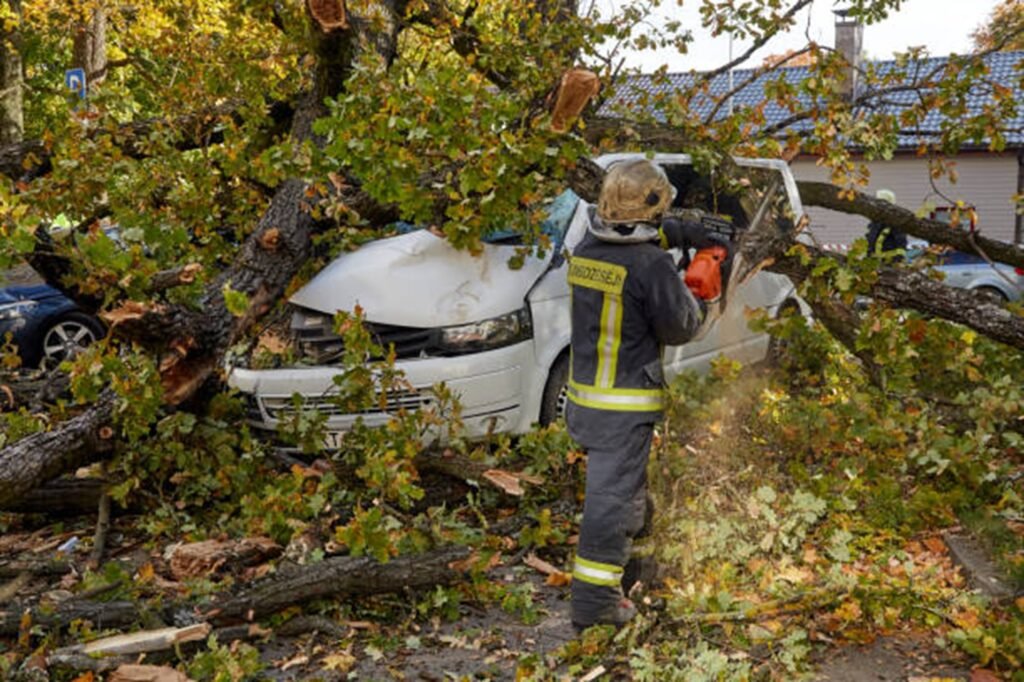 Emergency tree service crew removing a large fallen tree from a damaged vehicle after severe storm damage in Ballwin, MO.