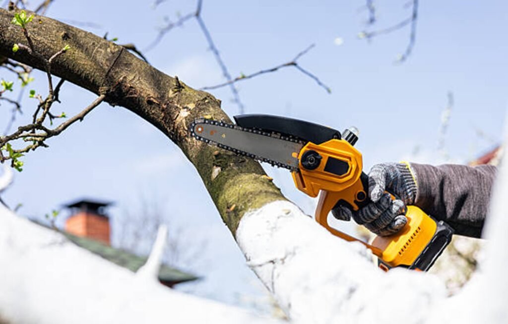Professional arborist pruning a tree branch with a handheld chainsaw during residential tree trimming service in Ballwin, MO.