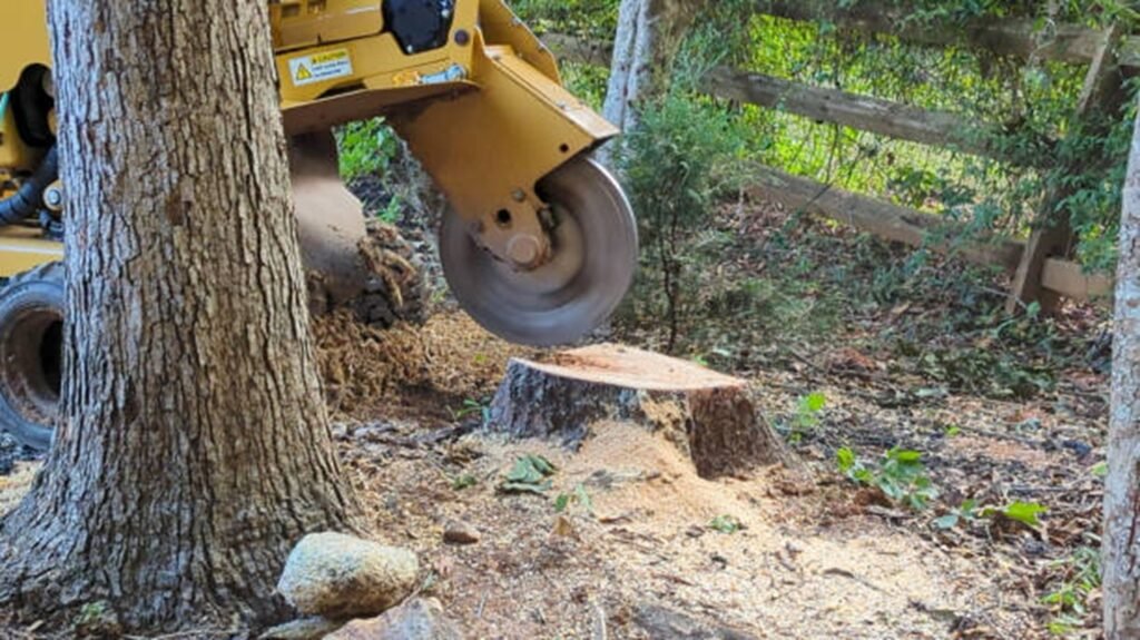 Commercial stump grinder removing a tree stump below ground level during professional stump grinding and removal service in Ballwin, MO.