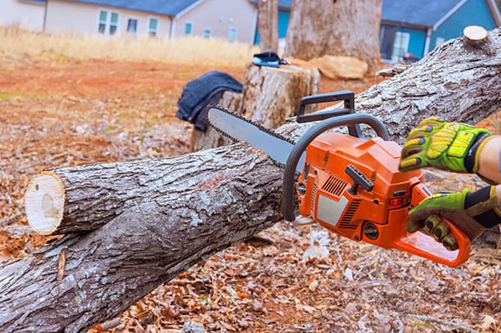 Professional chainsaw cutting through a fallen tree during emergency tree removal service at a residential property in Ballwin, MO.