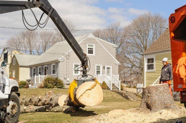 Professional emergency tree service crew cutting and removing a large fallen tree blocking a residential street in Chesterfield, MO.