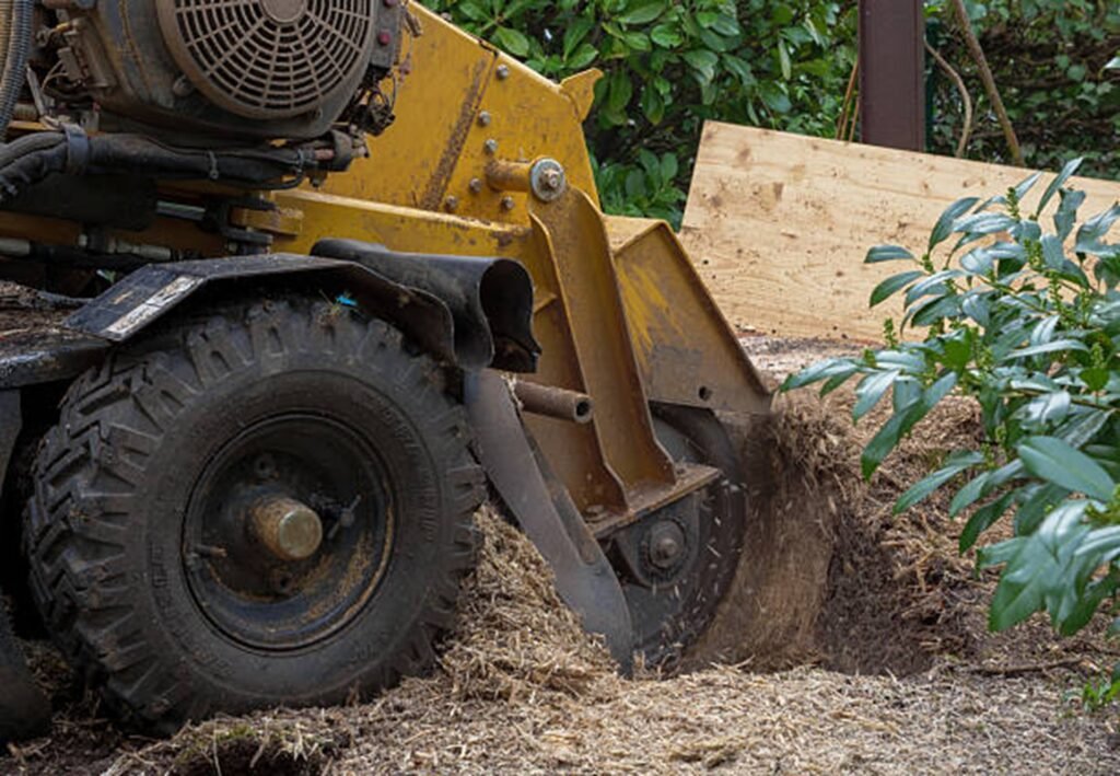 Professional stump grinding machine removing a tree stump from a residential yard during stump grinding and removal service in Ballwin, MO.