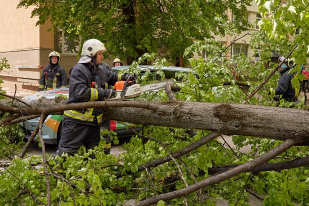Emergency tree service crew safely cutting and removing a fallen tree blocking a residential street in Ballwin, MO after severe storm damage.
